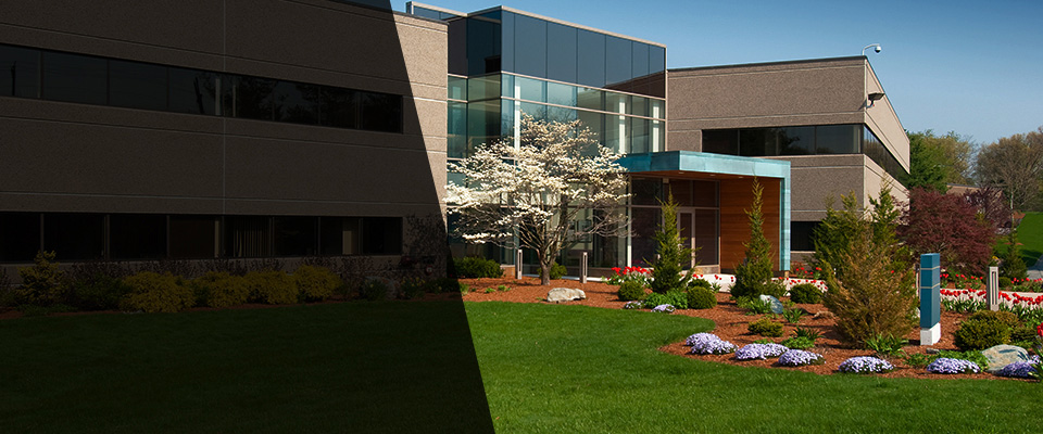 Mcdonough Landscapers