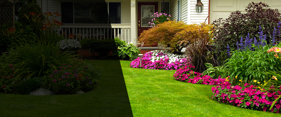 Mcdonough Landscapers